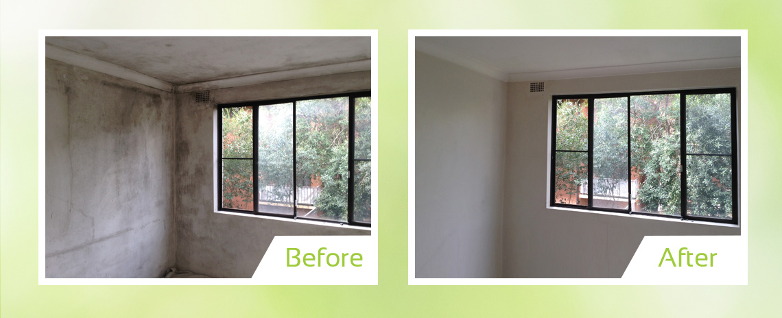 Mould removal service